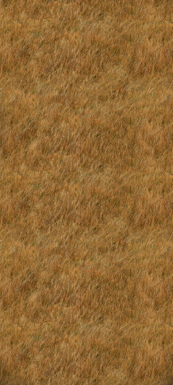 ��ֽ����,��ͼdd-2.jpg