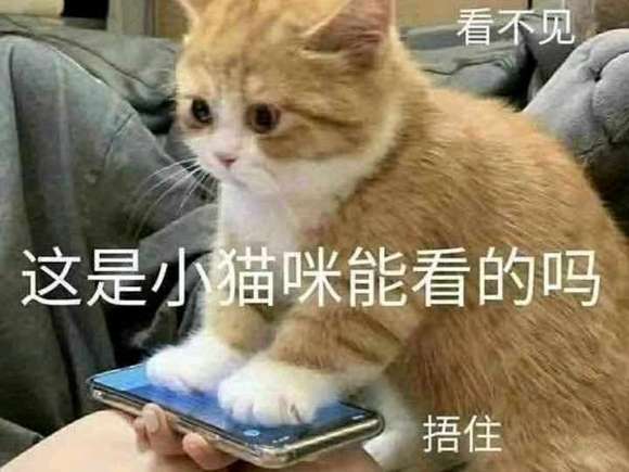 �������ͬ����չ��Ⱥ,���Ǹо����Ǻ����е㲻һ��?���ǲ�����-4.jpg