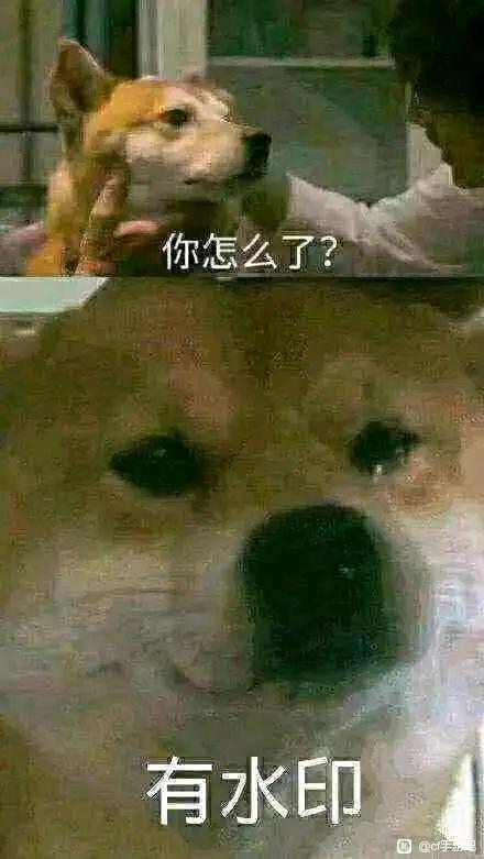 Ů�Ŷ�����ֽ-1.jpg