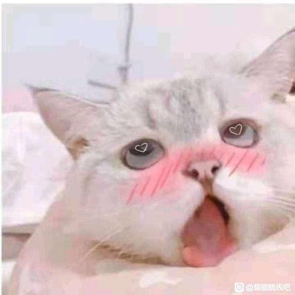��û��ڤ������ͼ ���ֽ-1.jpg