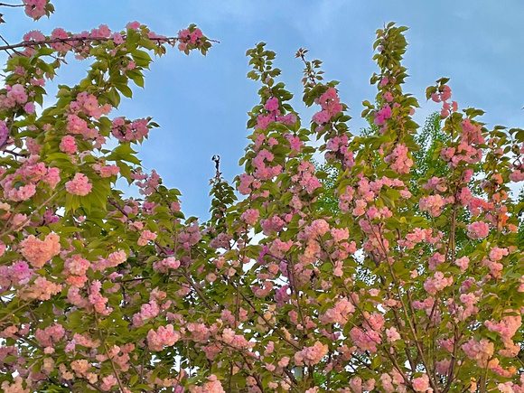 &amp;amp;#xF4DD;�±�ֽ-5.jpg