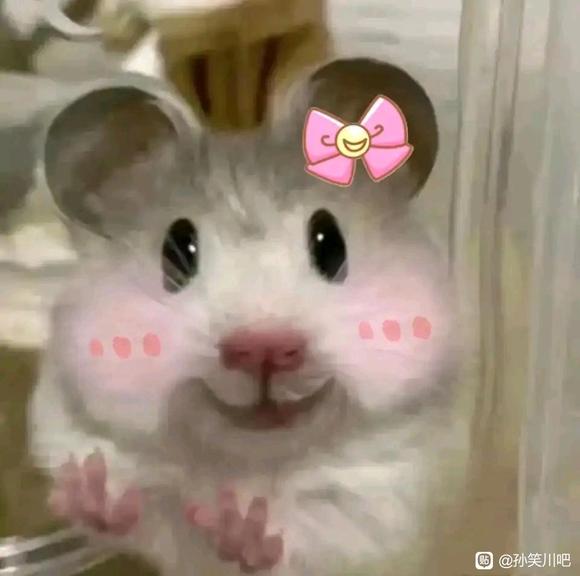 8u�ǽ������ǵ��ֻ���ֽ-1.jpg