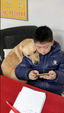 ����!�����Ҽ��������ĺ���С��Ů��-1.jpg