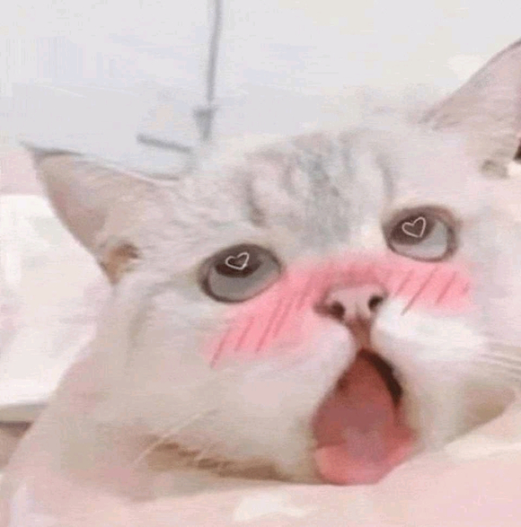 �����Ǹ����ֻ���ֽ��-1.jpg