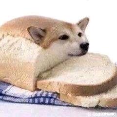 Ѱ��ѧУ������Ʒ����Ⱥ-2.jpg
