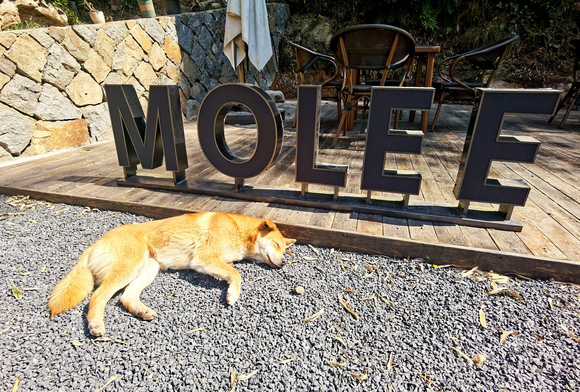 ��ļ�廭ʦ��������-2.jpg