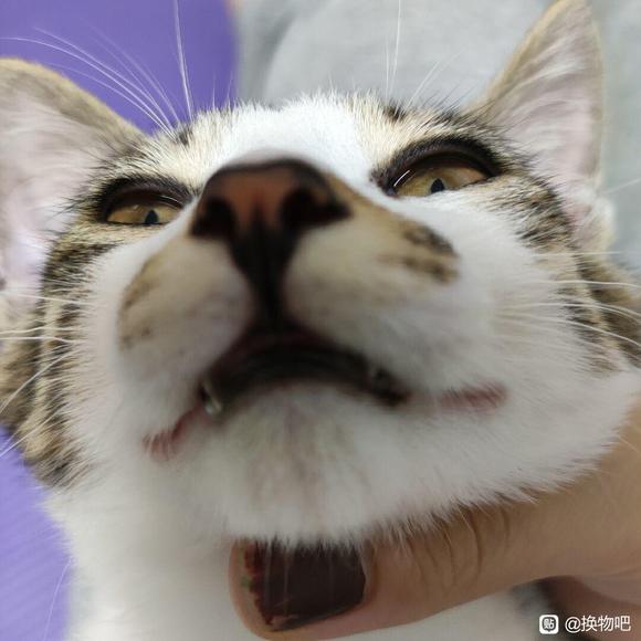 ���ɳ��ɻ�����ױƷ/����/��Ϸ�˺�/������ҵĶ���-1.jpg
