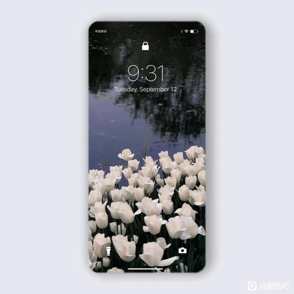 �������ֽ�Ź������~-2.jpg