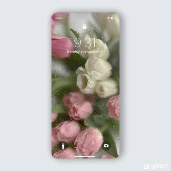 �������ֽ�Ź������~-7.jpg
