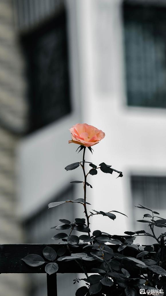 ����һ�ű�ֽ-2.jpg