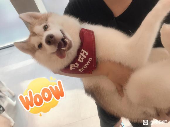 ���ɳ��ɻ�������ä����������С˵�������뺺��-3.jpg