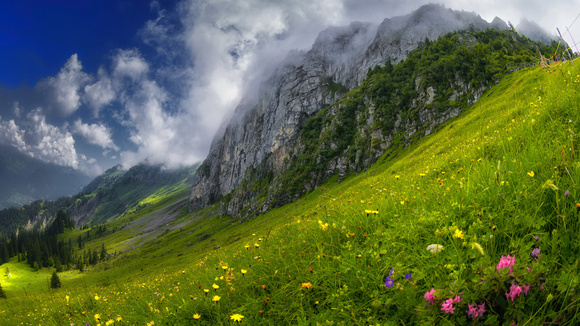 ��Ȼɭ�ַ羰��ֽ-1.jpg