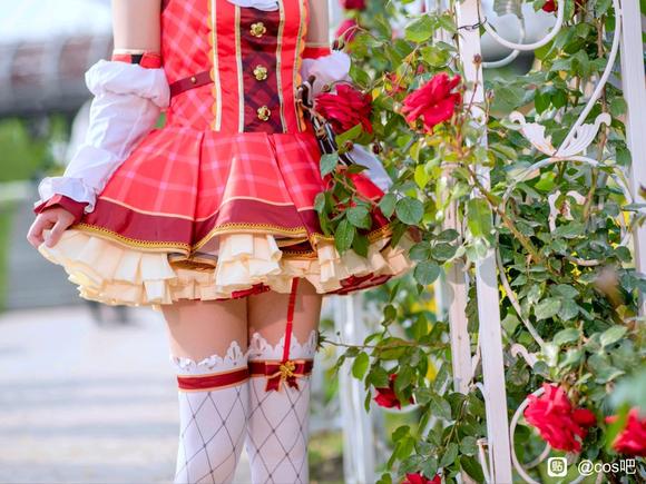 ��COS��Ƭ��Love Live!��ľҰ�漧��������-3.jpg