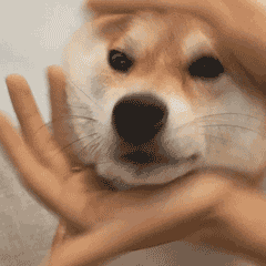 ��yu��ֽ,��ͼdd-1.jpg