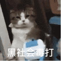 ��yu��ֽ,��ͼdd-2.jpg