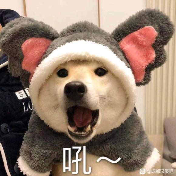 ��û�к���С���С���30��һ��ȥ���ֹȵ�-1.jpg
