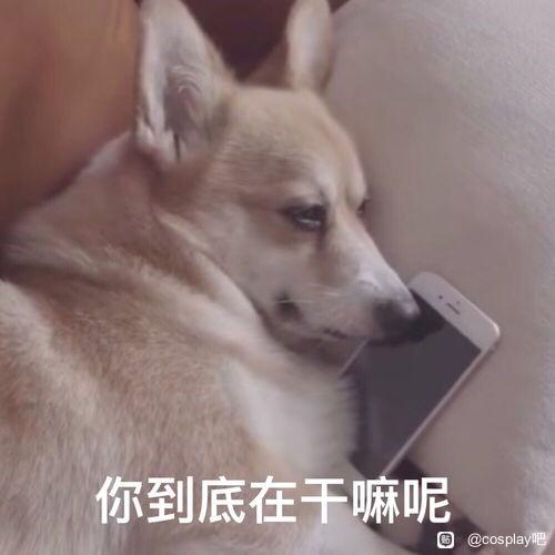 ��COS��Ƭ��������cos��������ô��ϵ��-1.jpg