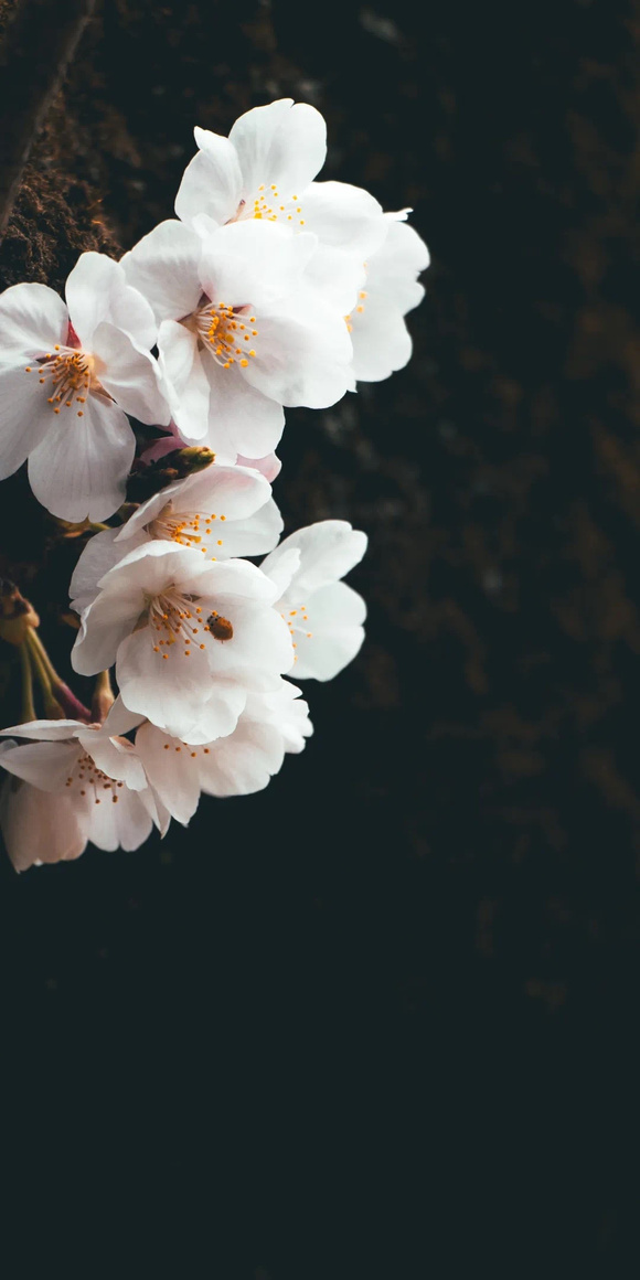 ��ֽ|�������µ����� �� 9-6.jpg