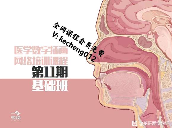 ҽѧ���ֲ廭������ѵ�ࡤ��11�ڡ�������-1.jpg