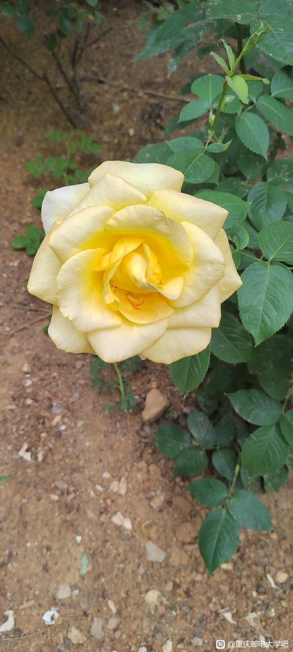 ��һ����Ʒ���ý���Ⱥ-1.jpg