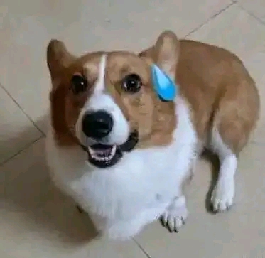 ������������ֽ׷ɱ��-1.jpg