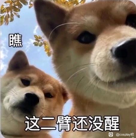 ��COS��Ƭ������cos��Ⱥ#COS#-5.jpg