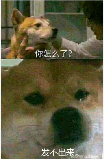 ��?��λpվsp���ٽ���������ÿ��ı�ֽ-2.jpg