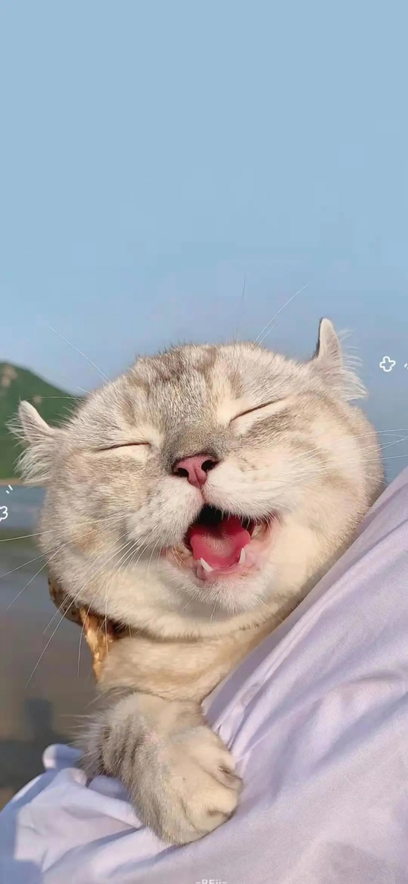 ***�ı�ֽ�ղ�(ԭͼ��ˮӡ)| �ڶ���-5.jpg