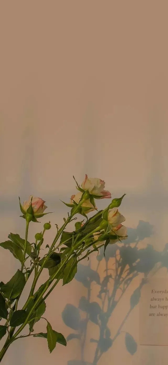 ***�ı�ֽ�ղ�(ԭͼ��ˮӡ)| �ڶ���-8.jpg