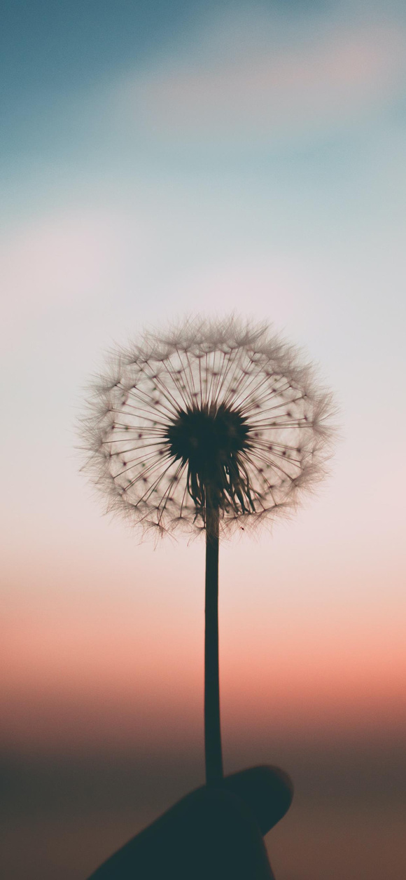 ���ÿ��ı�ֽ-9.jpg