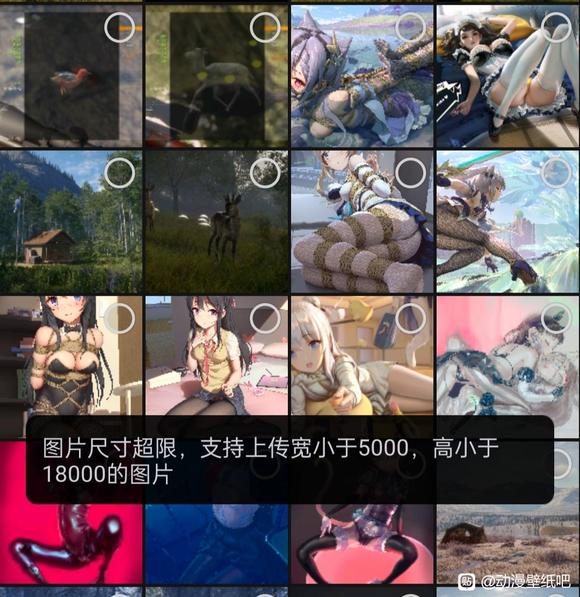 ���ܵ�8u��û��һЩ�ʺϵ���ֽ��ͼͼ-4.jpg