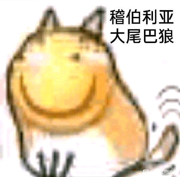 ��û�����Ƶ�ͷ���ֽ��-2.jpg