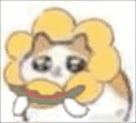 ������û�нӶ�̬��ֽ��̫̫ѽ-1.jpg