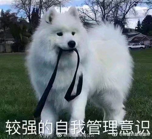 �������λ���cos/����/lo-1.jpg