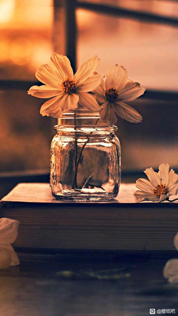 С����ϵ��ֽ-3.jpg