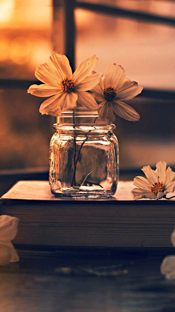 С����ϵ��ֽ-3.jpg