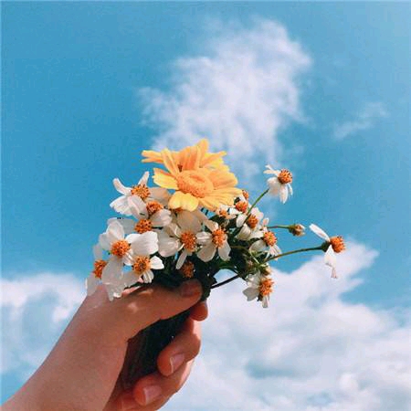 С����ϵ��ֽ-1.jpg