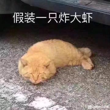 ����#cos��Ƭ#-2.jpg