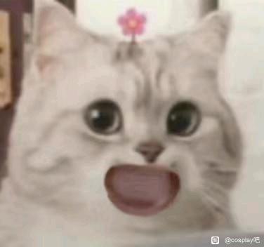 ��COS��Ƭ����û���ʺ����µ�cos-1.jpg