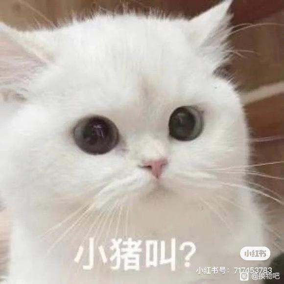 ���ɳ��ɻ���loȹ/jk�Ʒ�/���� ����������������-1.jpg