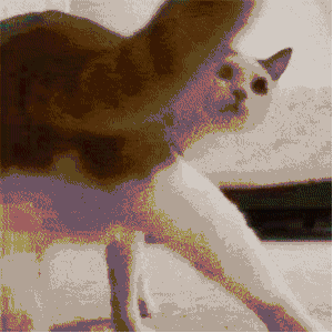 ���µ�һ��ȥ��չҪע��ʲô��-1.jpg