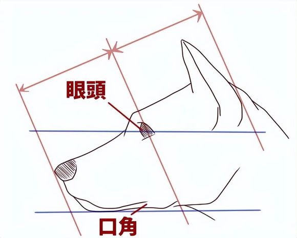 �廭������ô��?��Խ��������ͨ��������׽��������!-2.jpg