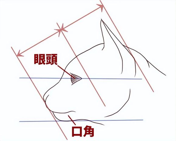 �廭������ô��?��Խ��������ͨ��������׽��������!-2.jpg