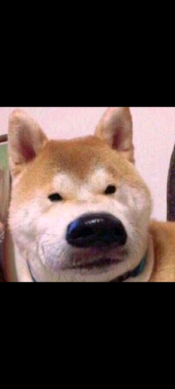 ���࡭̥ѹ���cnm���溺������Ů-1.jpg