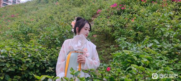 ������,�乫԰-8.jpg