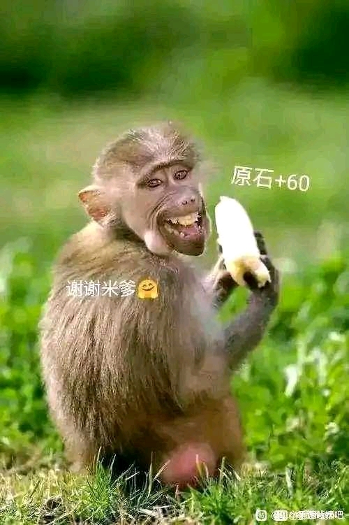 ���Կ��ó���op��ĺ����Ẻ��-1.jpg