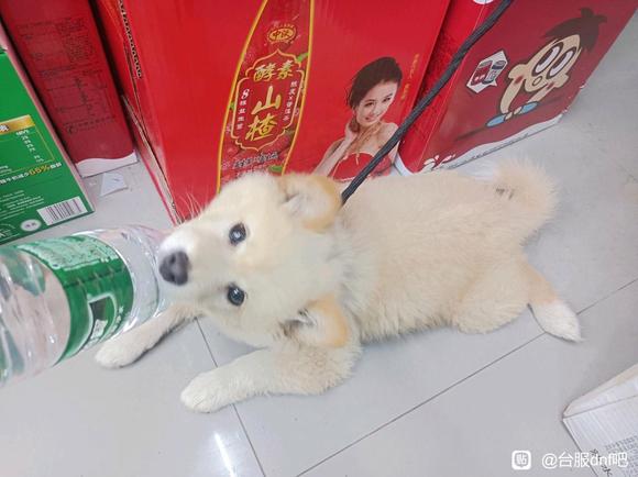 ��һ��������������ֿ�,���޸�һ���廭�쳣�Ĵ���-1.jpg