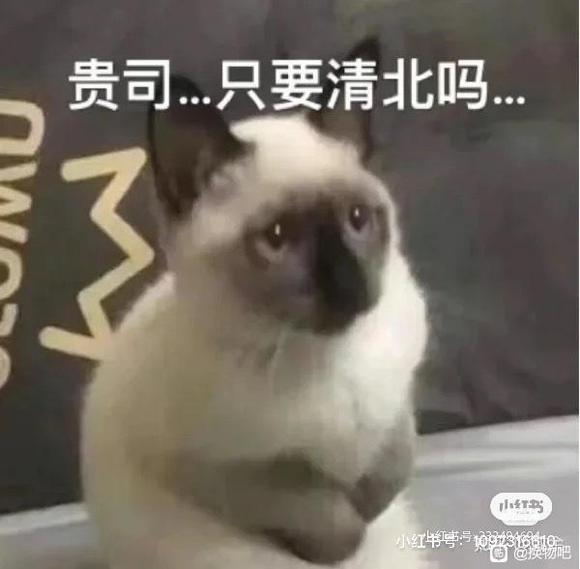 ���ɳ��ɻ�����jk�Ʒ�/����lo����-2.jpg