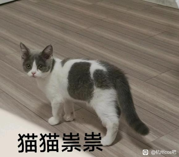 ��20220804������/�ҹ�c/Լ��չ-2.jpg