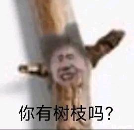 ��ô��չҲ��ikun��?С���Ӳ�����-1.jpg
